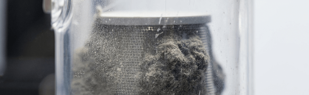 dust mite allergy reaction