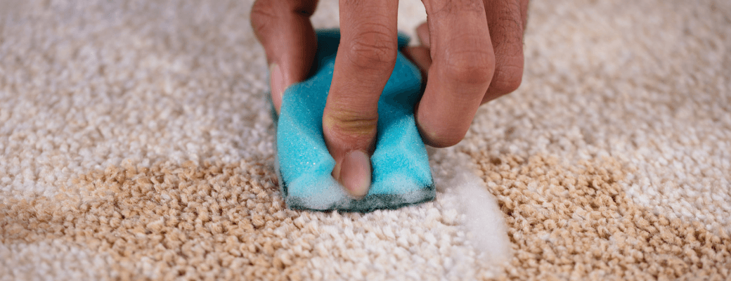 Step-by-Step Guide to DIY Carpet Shampooing
