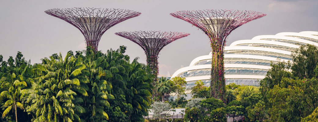 gardens by the bay